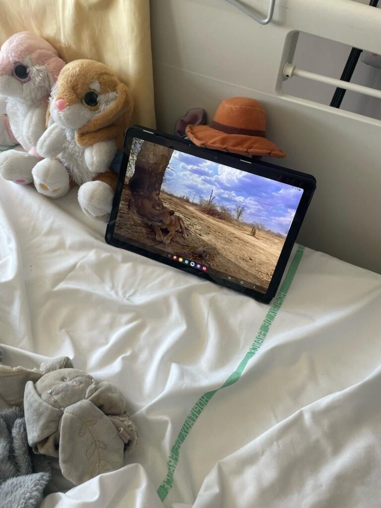 dmlht-planete-lille-whatsapp-image-2025-10-01-a-19-35-51_a6df76f3